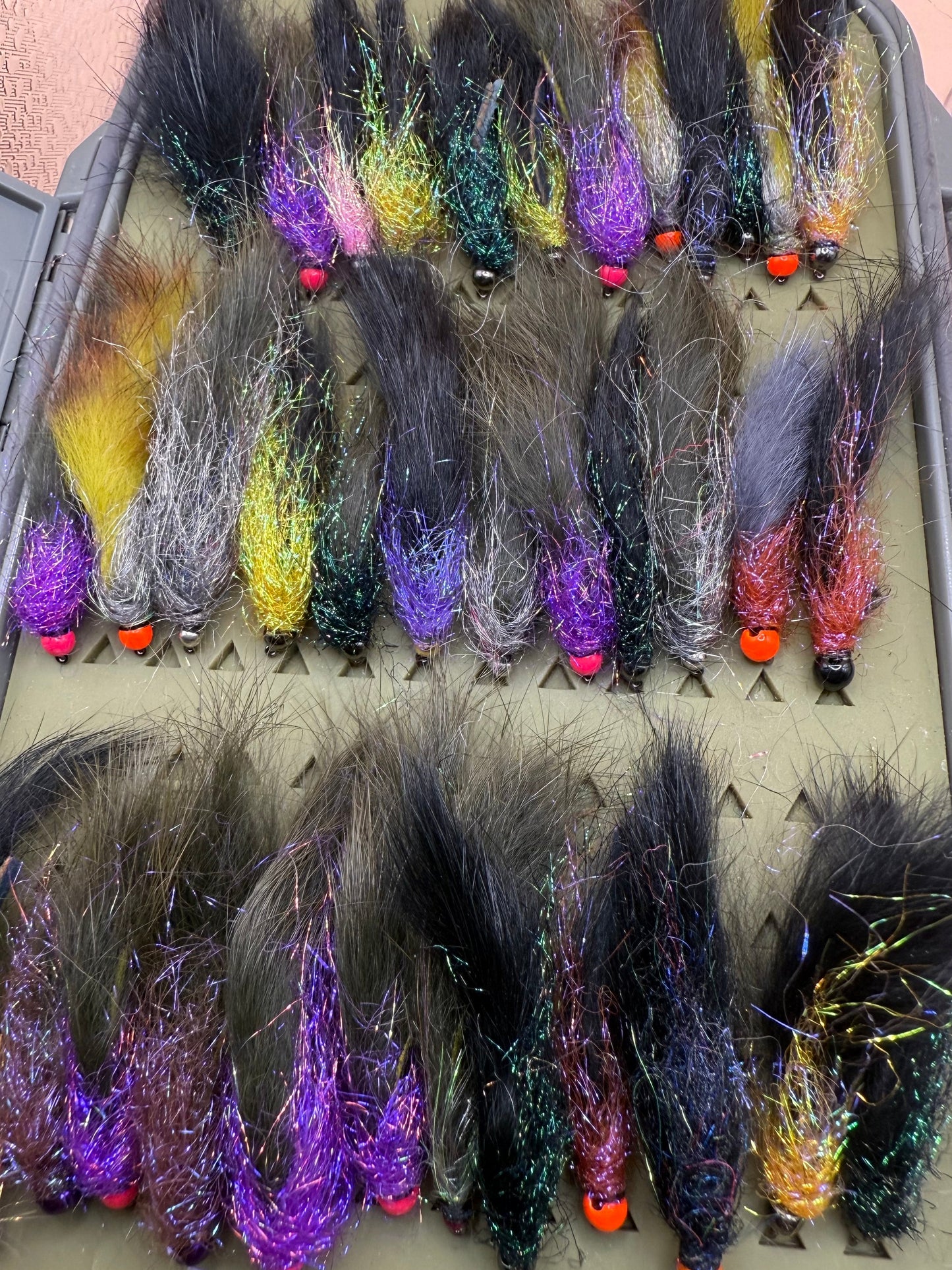 Leech box 2 dozen